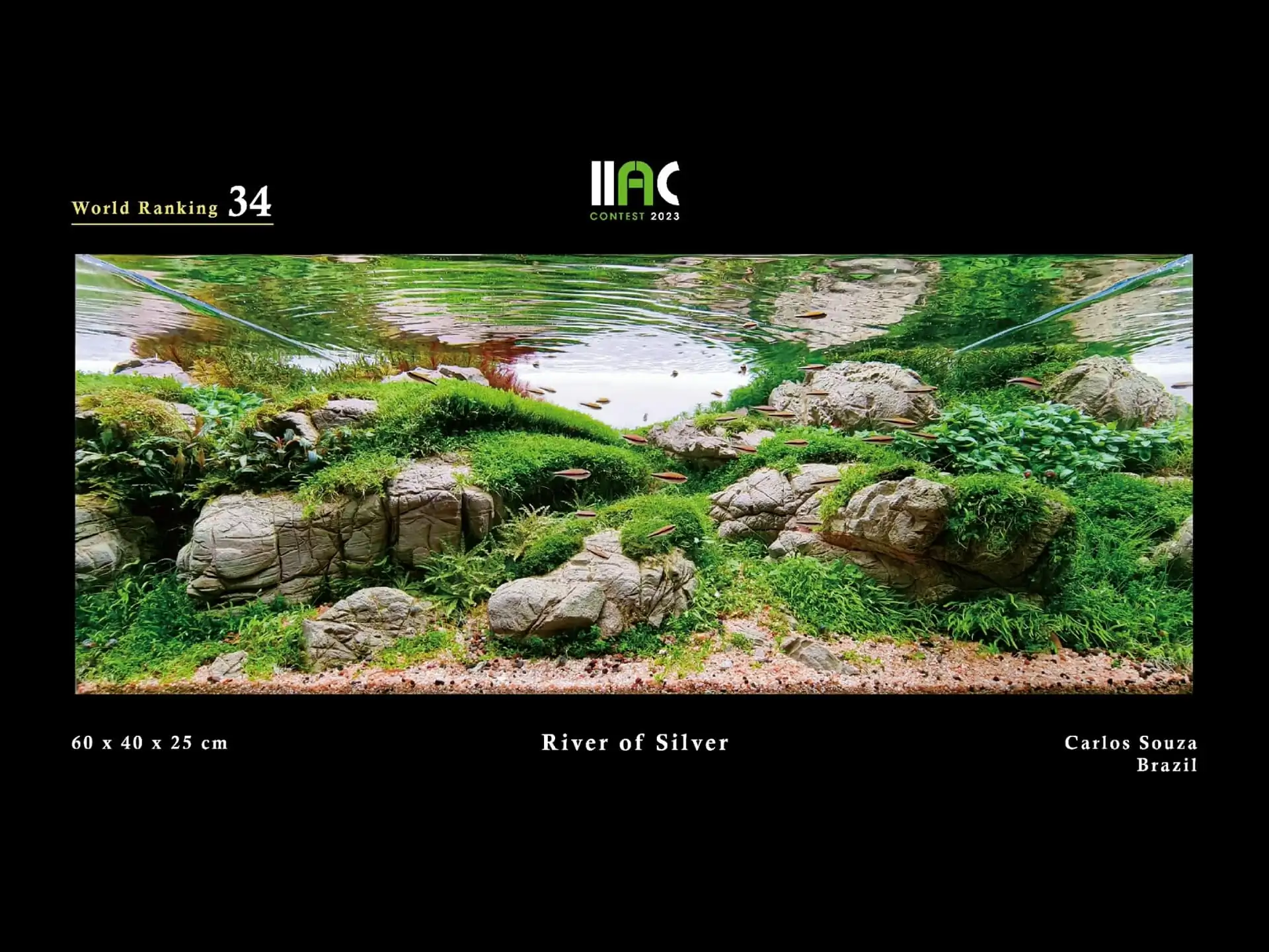 River of Silver - IIAC 2023 #34 Carlos Souza / Brazil